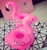 PoolFrolics ™ Floating Flamingo Drink Holder