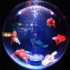 Submersible LED Lights